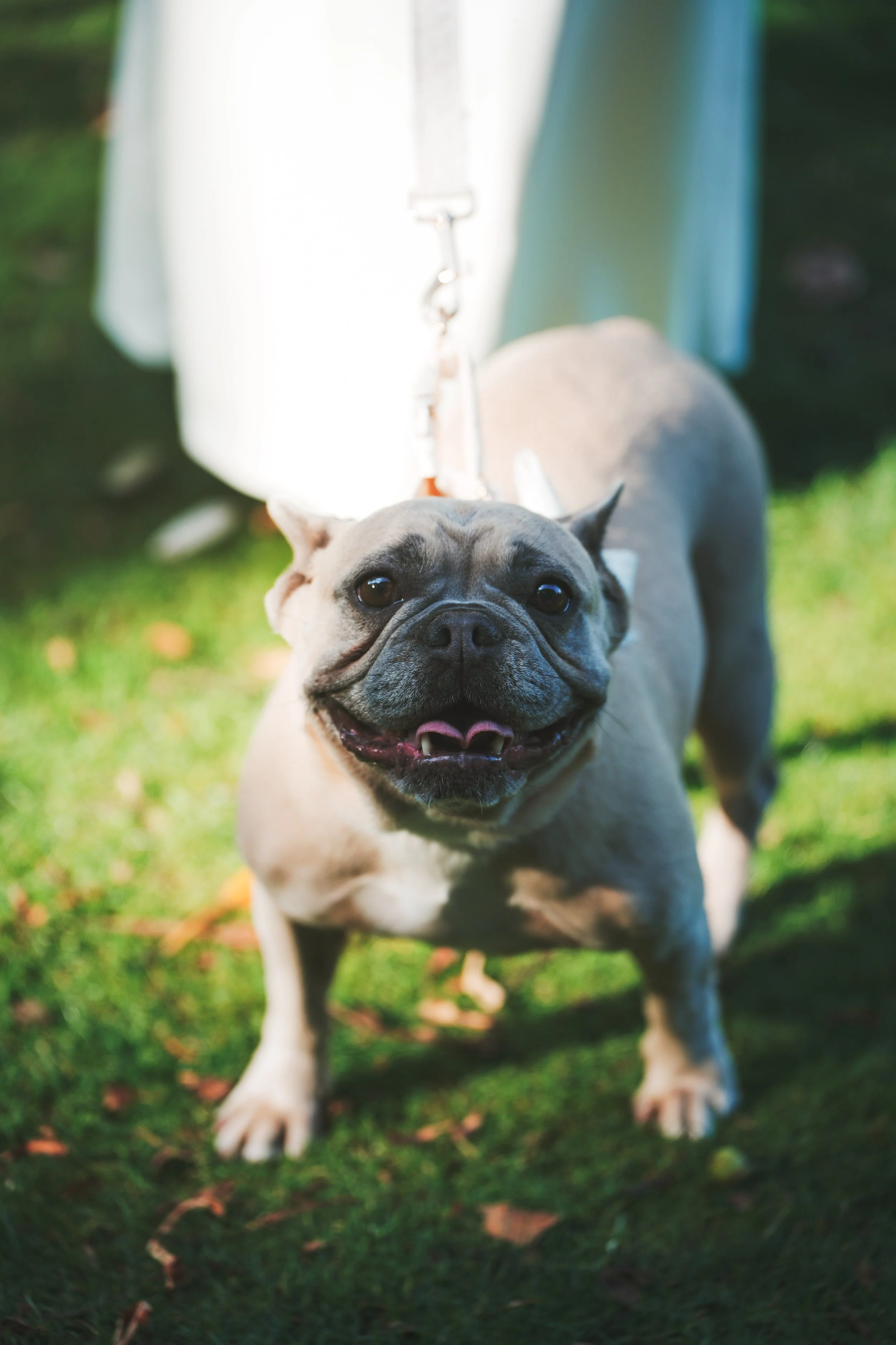 Mitch Gamble Media x Nikki & Tom's Wedding (Smaller Files)-079.jpg