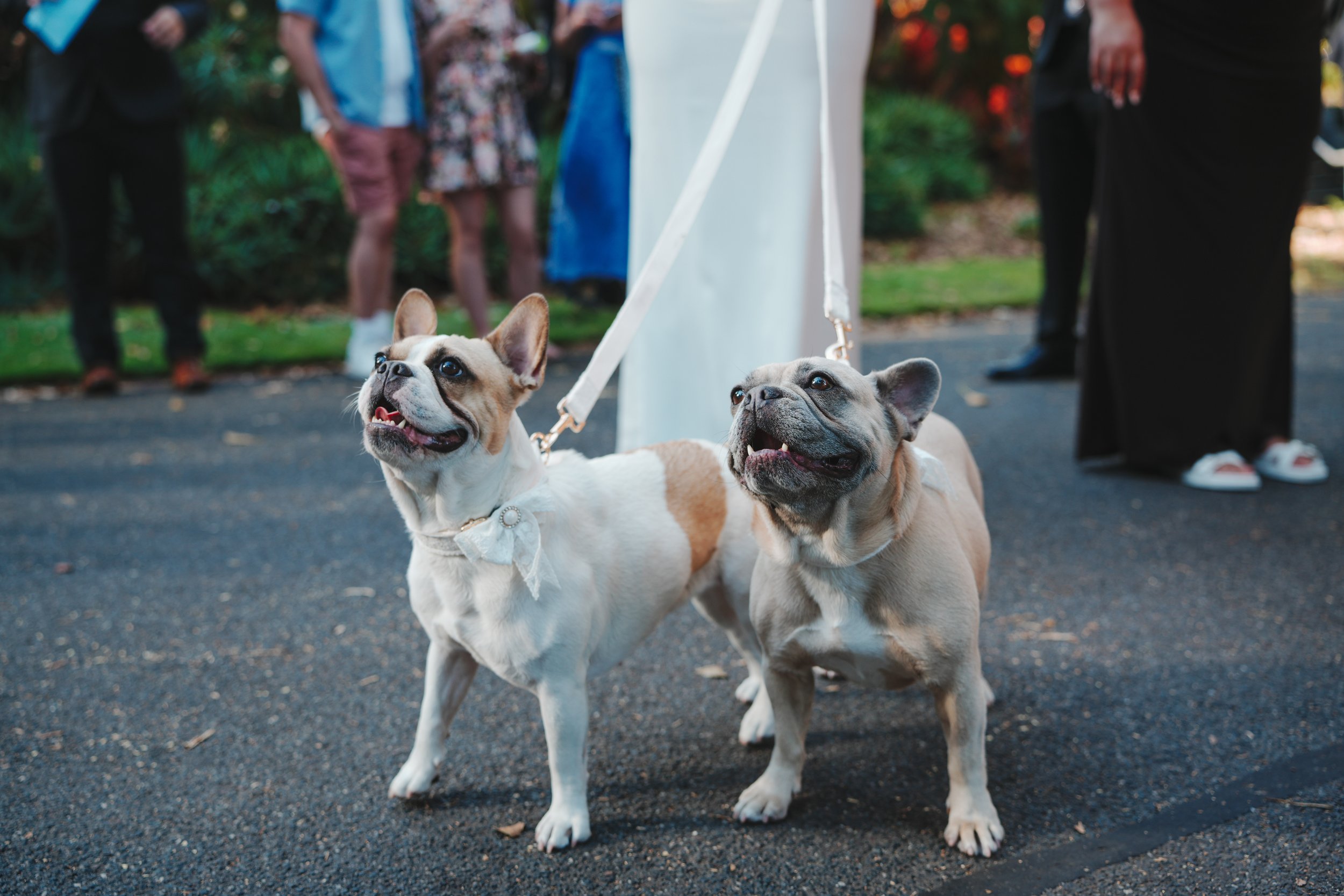 Mitch Gamble Media x Nikki & Tom's Wedding (Smaller Files)-092.jpg