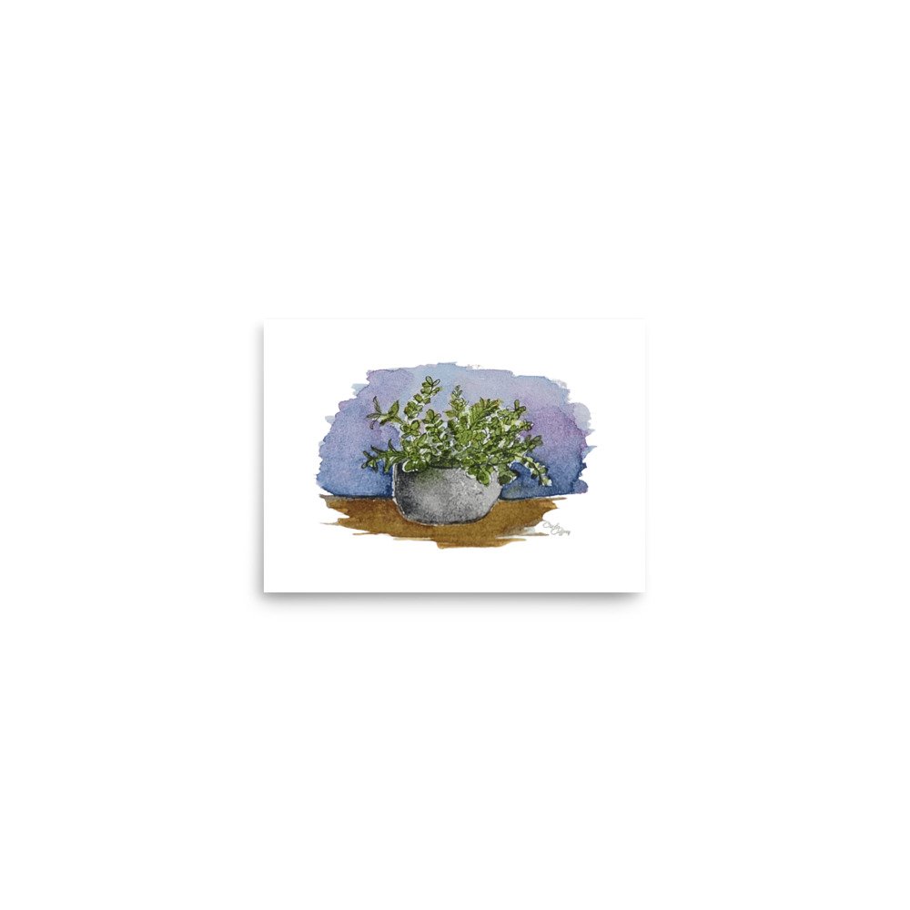 enhanced-matte-paper-poster-(in)-5x7-front-67d3f69589c60.jpg