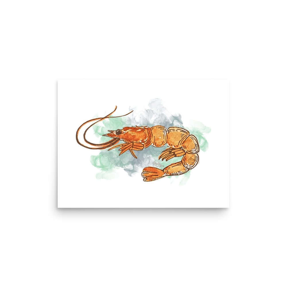 enhanced-matte-paper-poster-(in)-12x16-front-67d401514f006.jpg