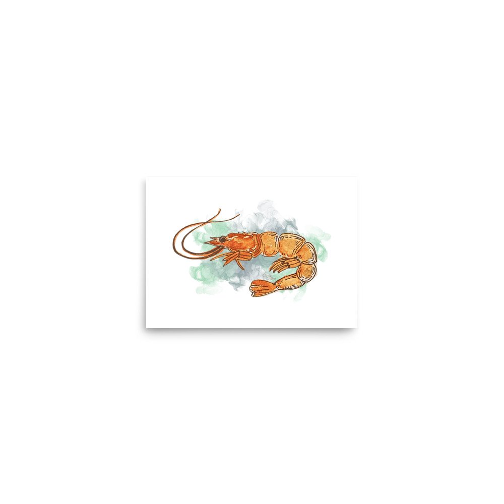 enhanced-matte-paper-poster-(in)-5x7-front-67d401514f124.jpg