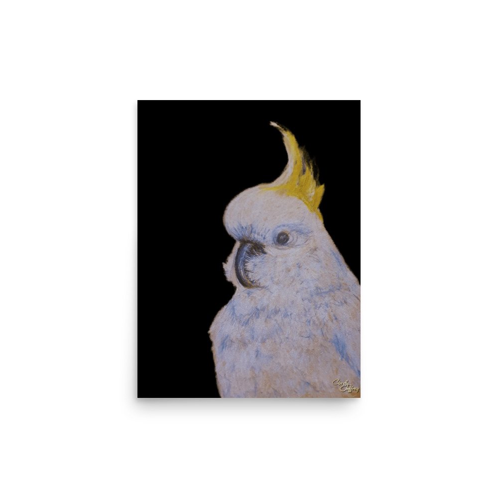 enhanced-matte-paper-poster-(in)-12x16-front-67ed06b99d42b.jpg
