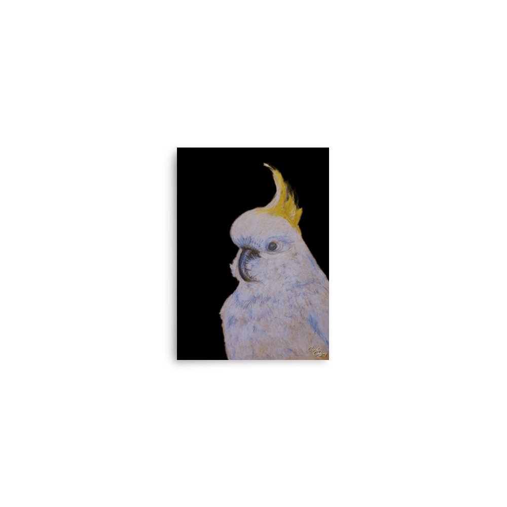 enhanced-matte-paper-poster-(in)-5x7-front-67ed06b99deae.jpg