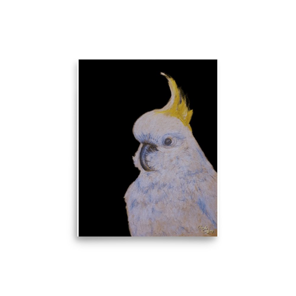 enhanced-matte-paper-poster-(in)-8x10-front-67ed06b99df4e.jpg