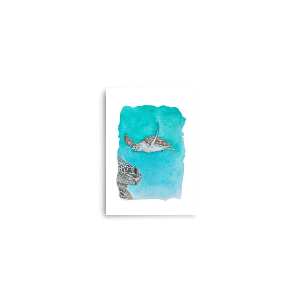 enhanced-matte-paper-poster-(in)-5x7-front-680152e9e2b89.jpg