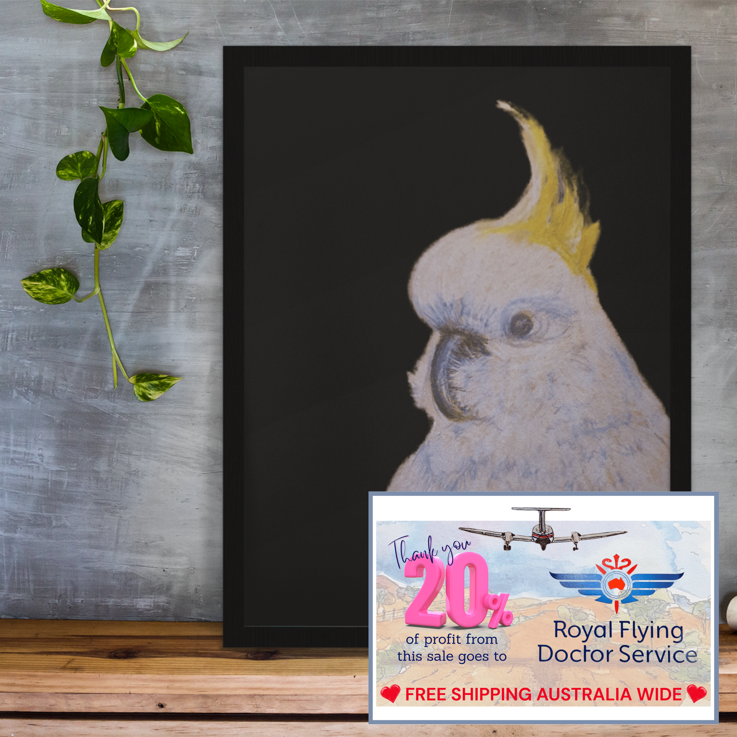 Australian Cocky - Broken Hill, NSW (530)