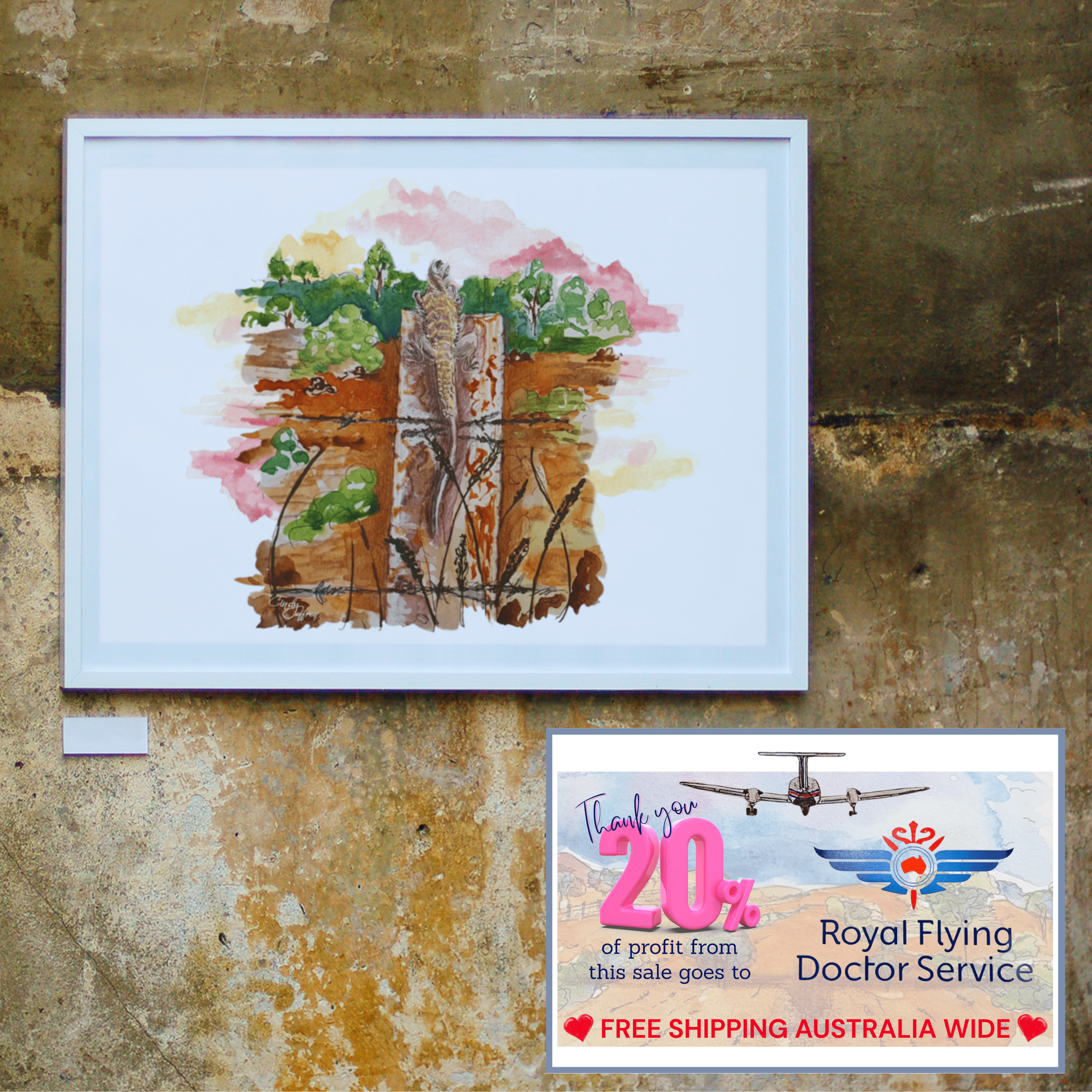 Gorgeous Graham: the Bearded Dragon - Silverton, NSW (409)