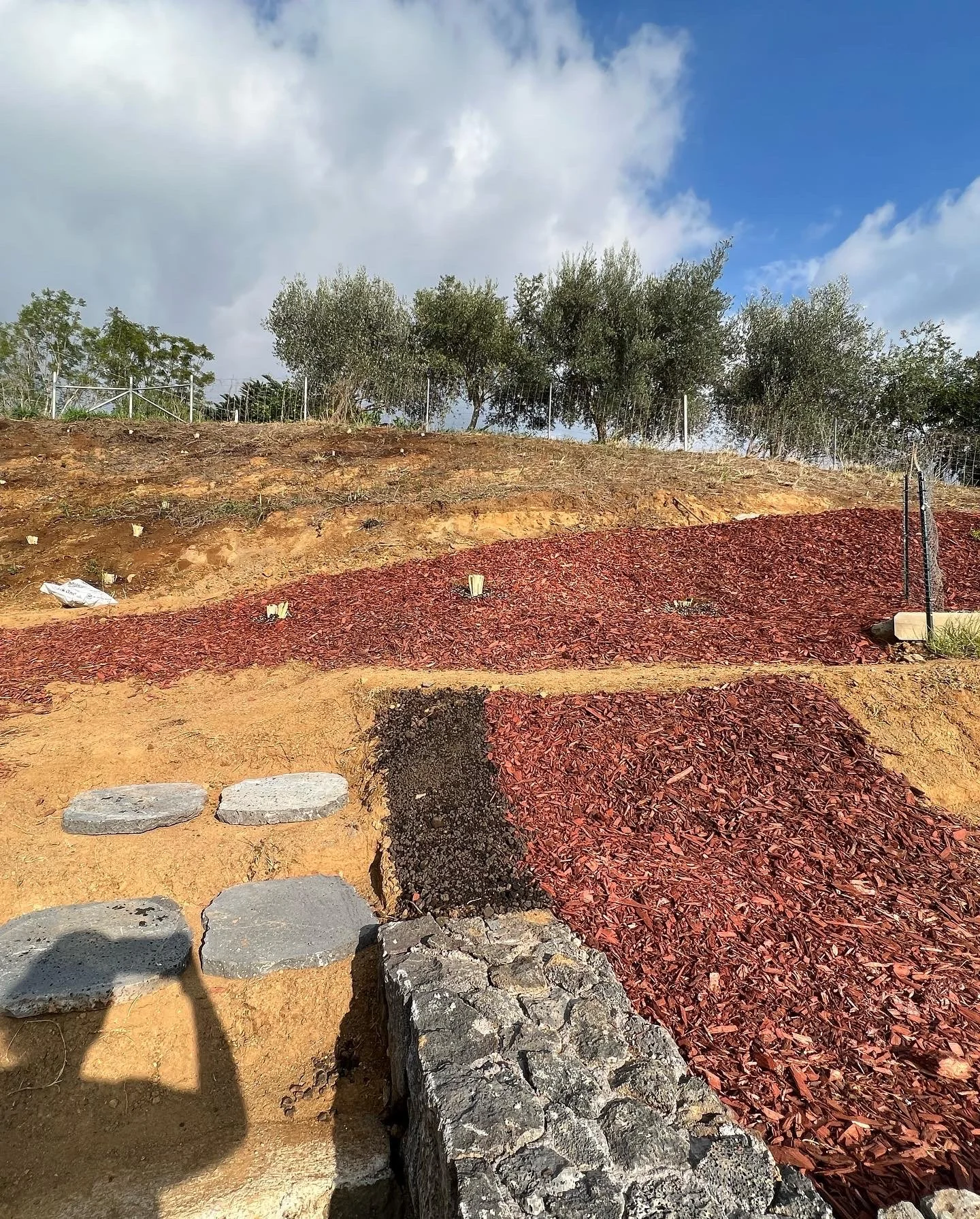 F4D9242A-A701-4443-9FCE-0F7853F08146 2.JPG