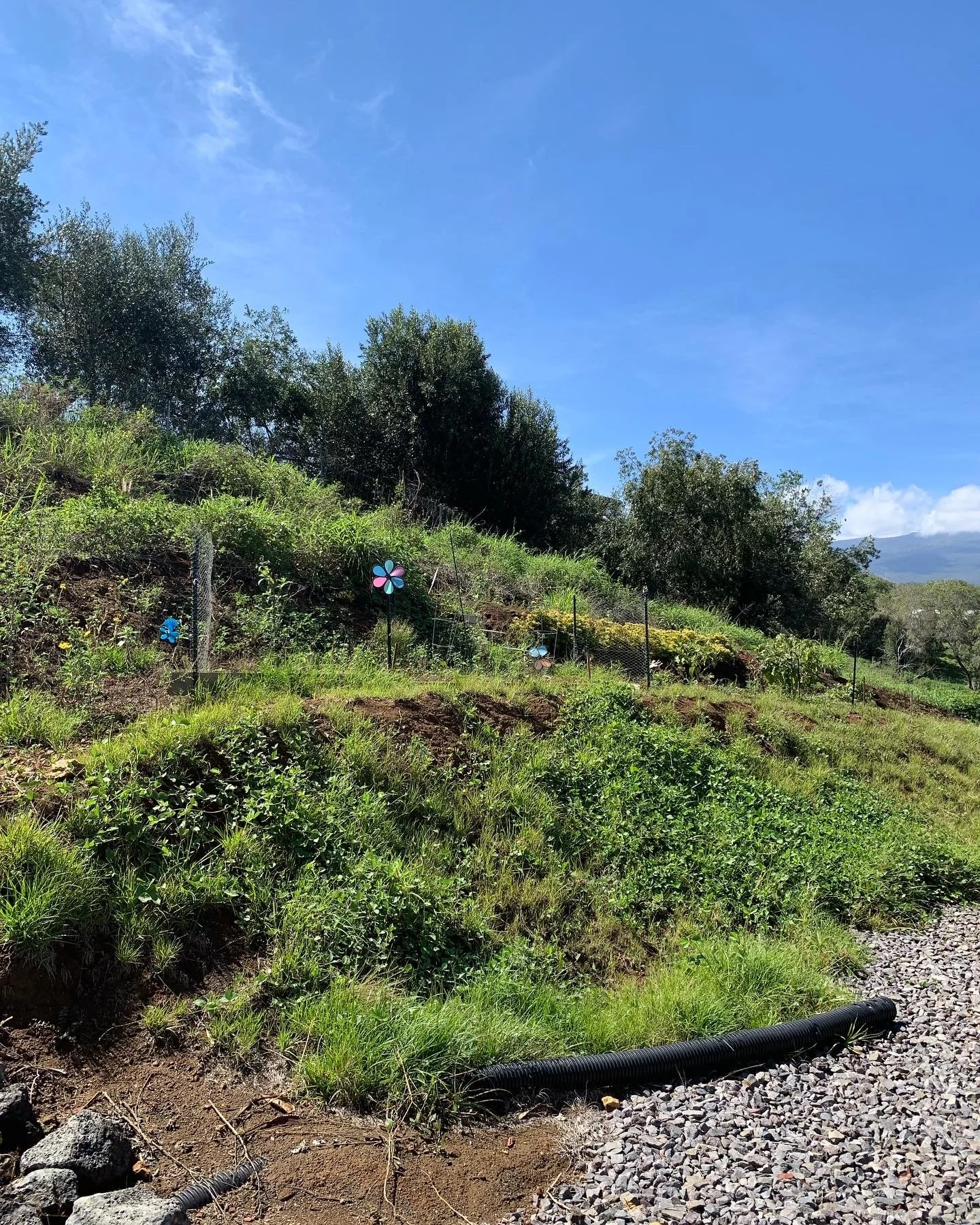 Where now lie beautiful gardens and a stunning lava paver landing and mini staircases, once was simply a weed-covered hill.