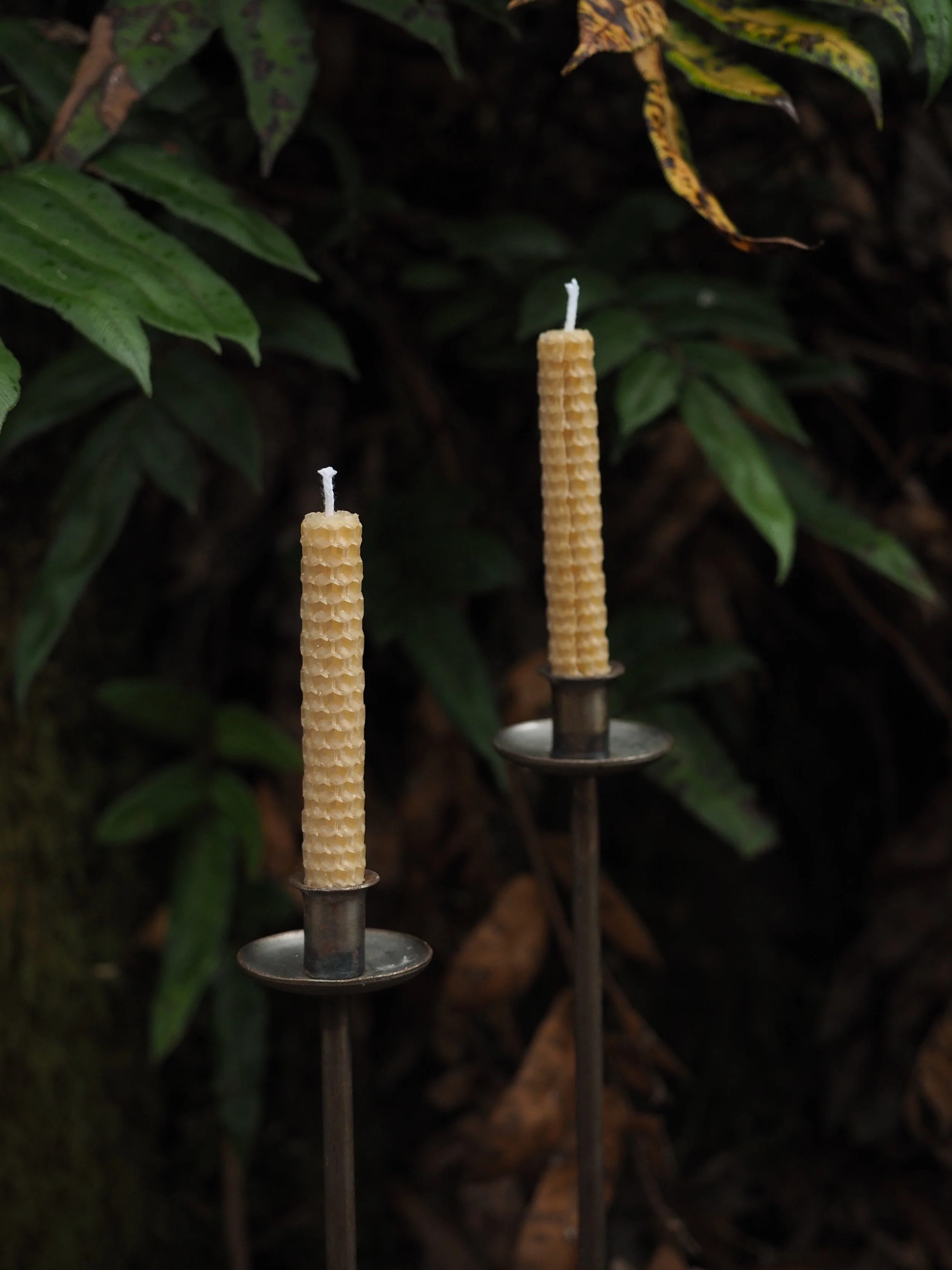 Tasmania Beeswax Wish/Spell Candles (4 Pack)