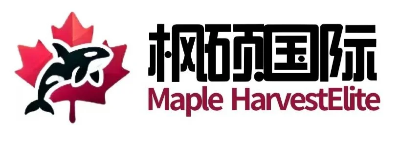 枫硕国际教育