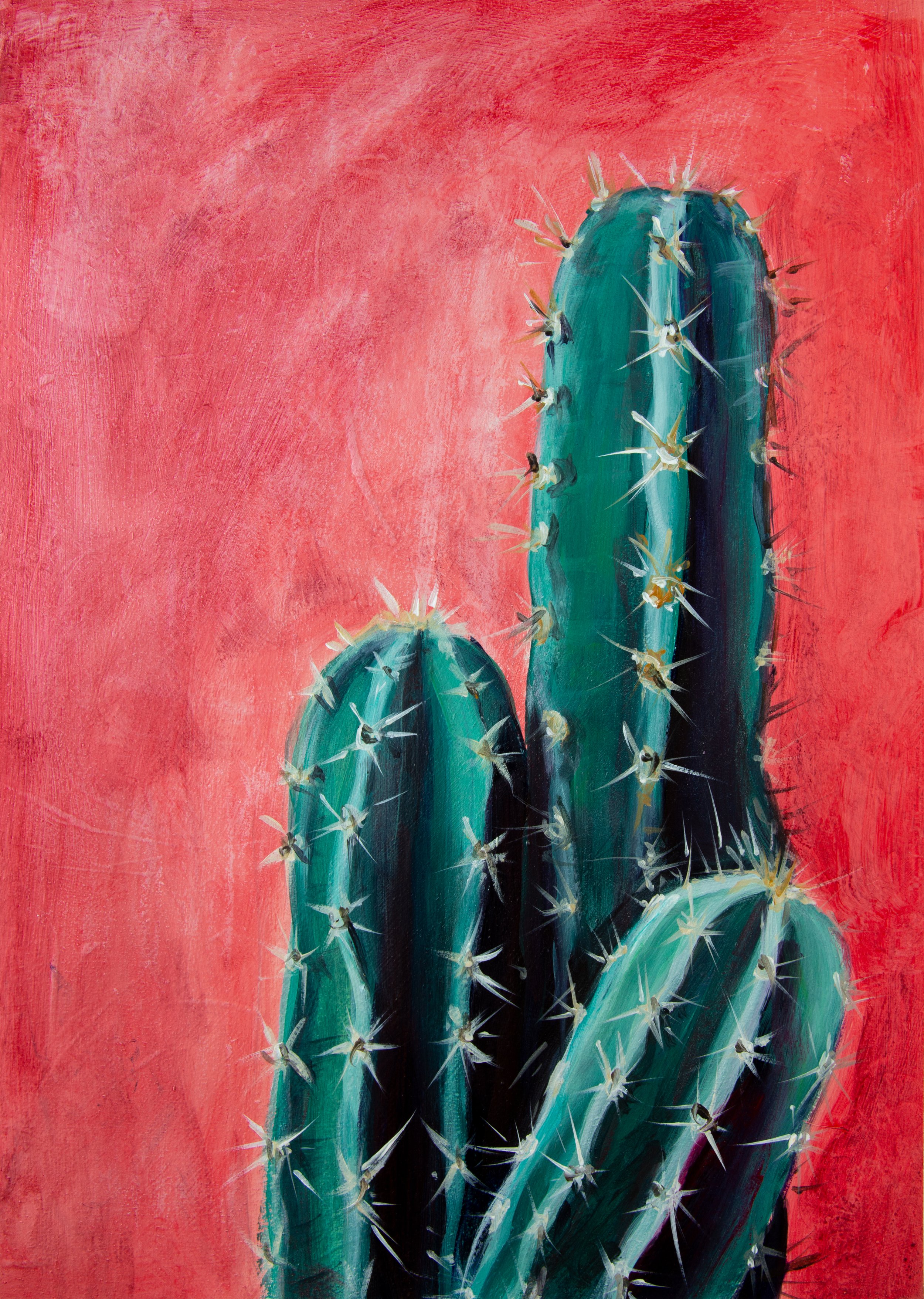 Original Botanical Artwork | Cactus