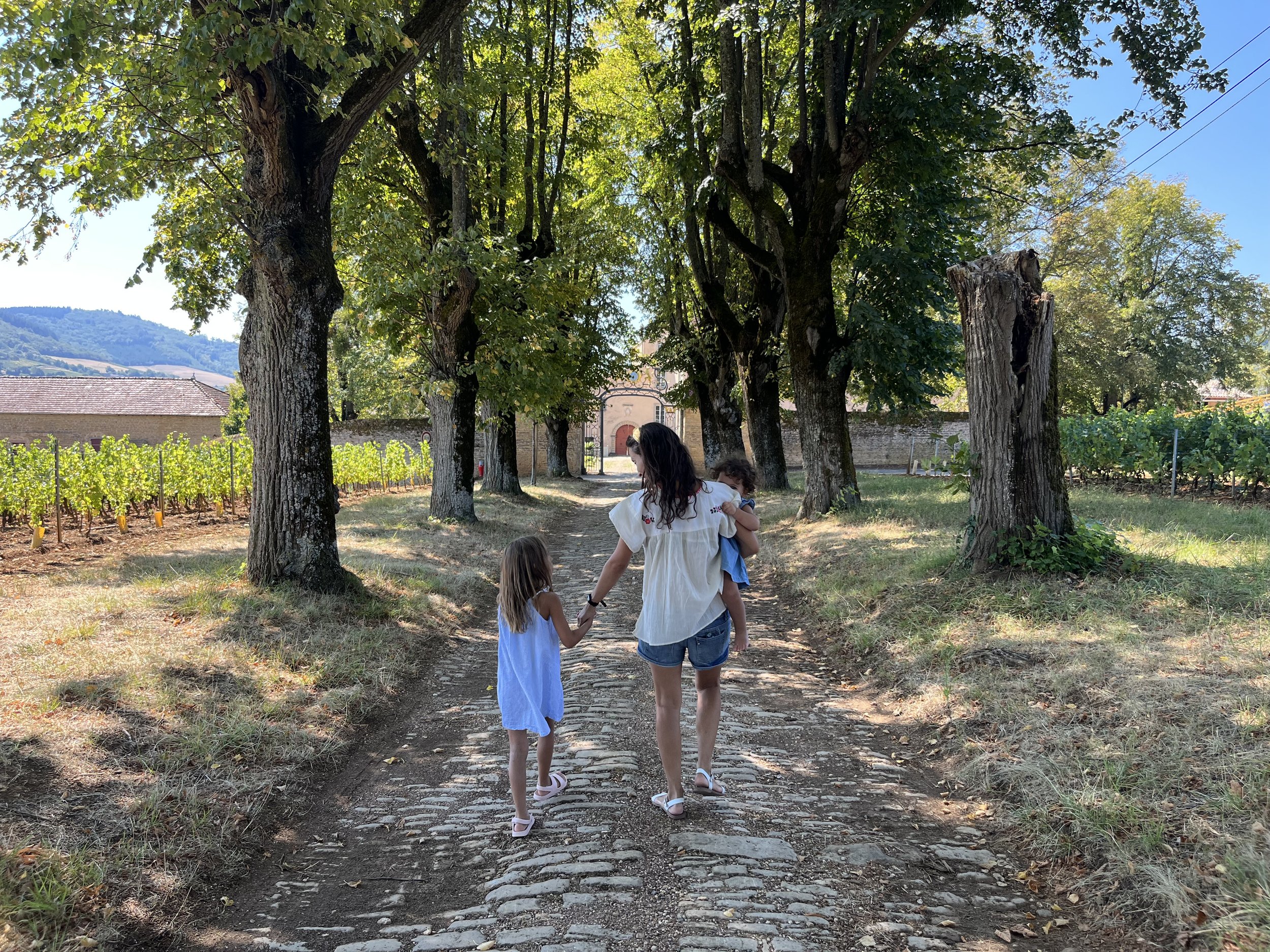 A background photo of a mother walking down a peaceful, tree-lined path holding hands with her children, setting an intentional tone for a life alignment discovery call.