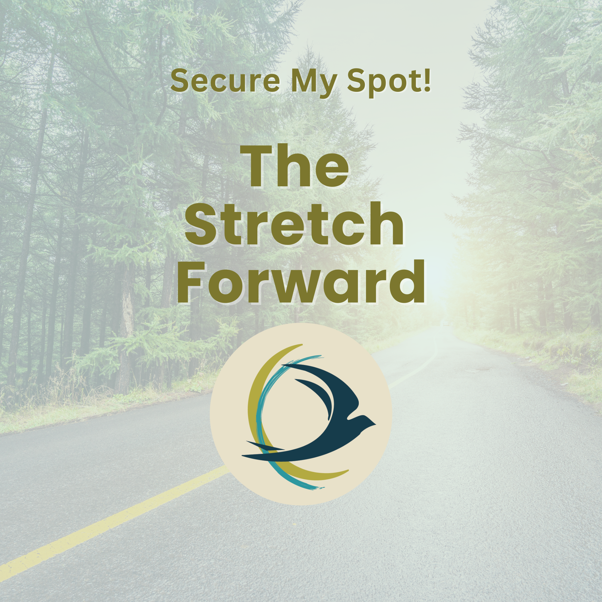 Secure My Spot! (The Stretch Forward Program)