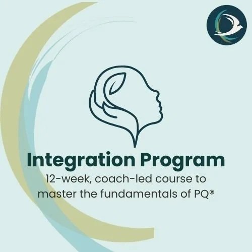 The+Integration.jpg (Copy)