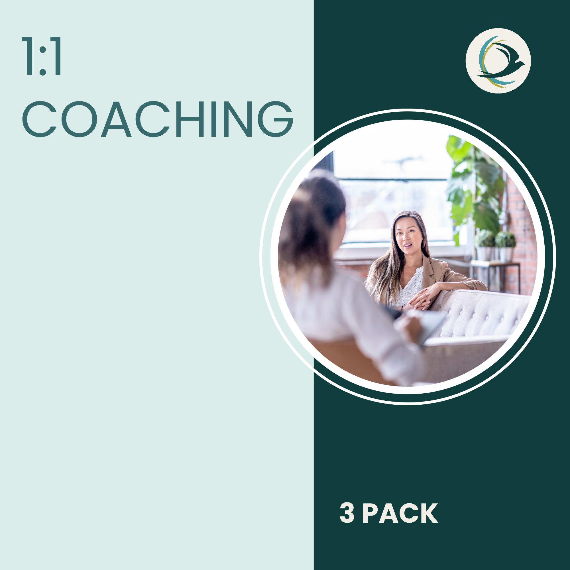 1:1 Coaching 3-PACK