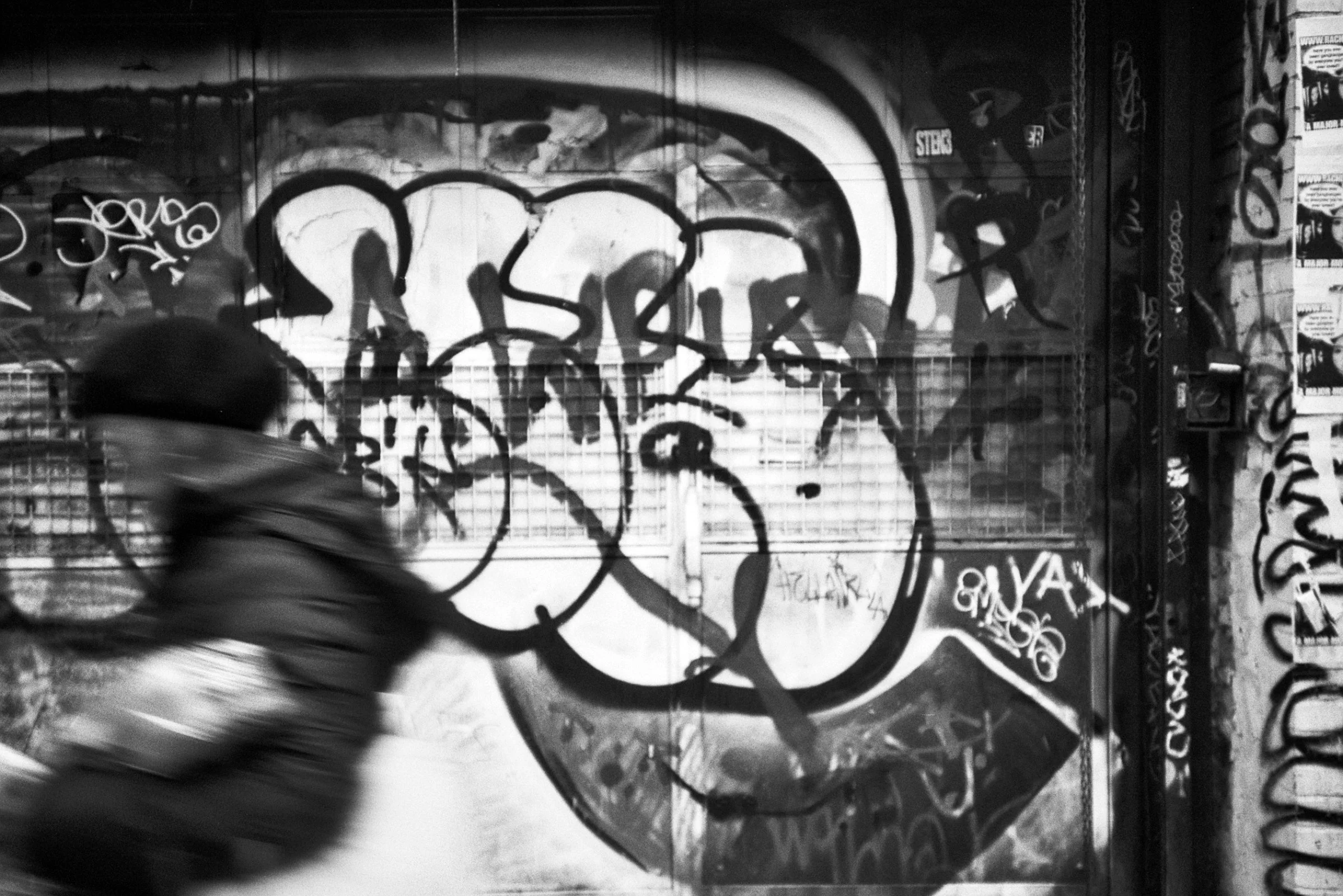 IMG_7036.jpeg