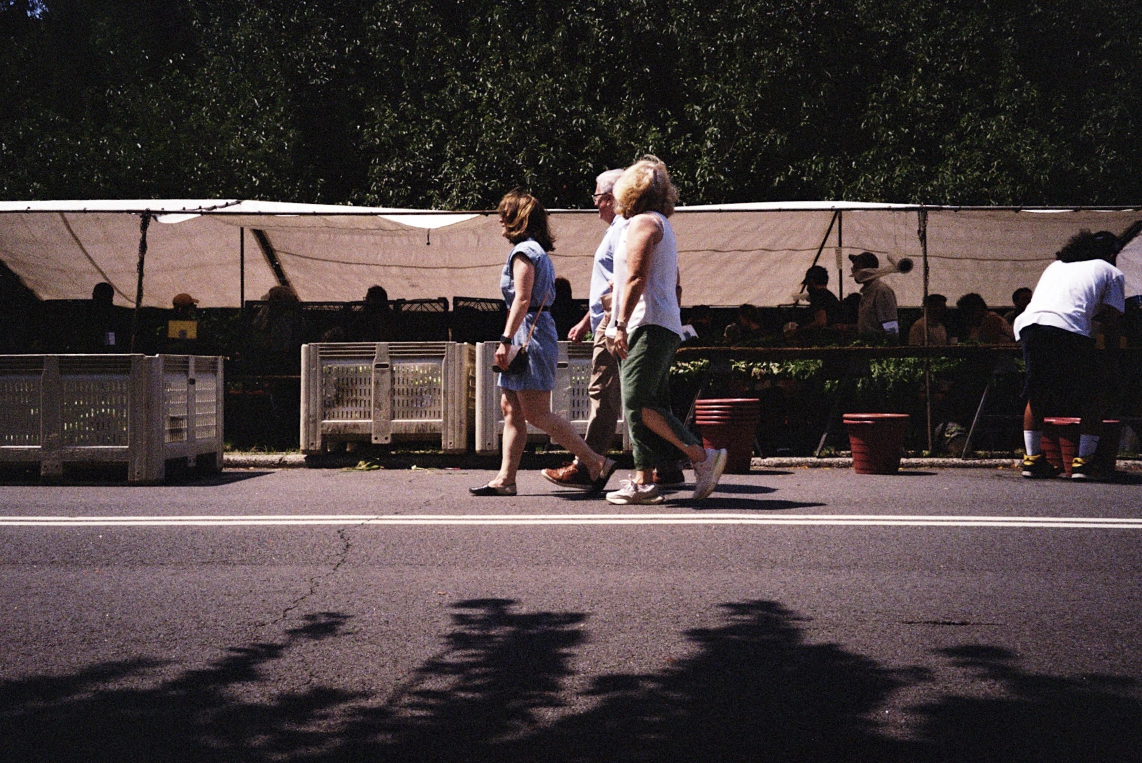 IMG_8550.jpeg