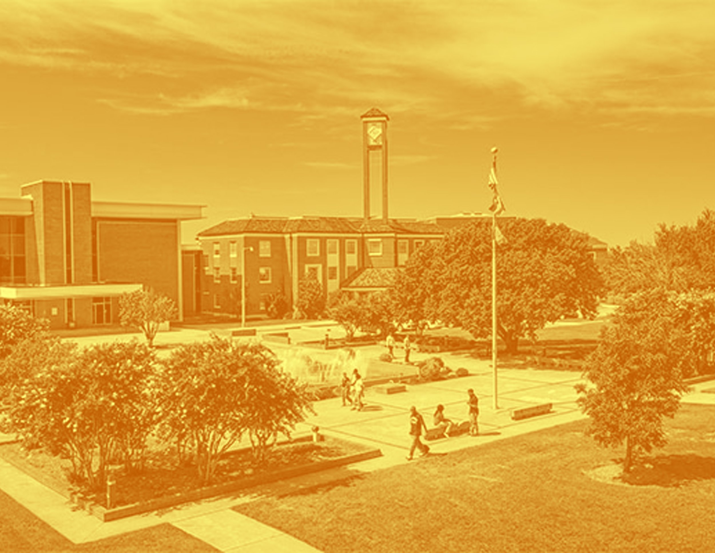 The Yard 2.jpg