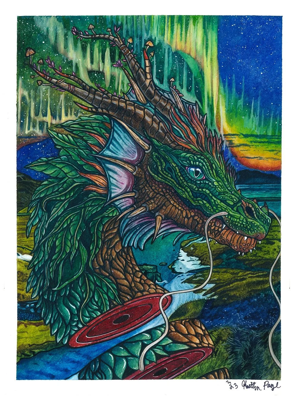 file_27d6fef14d_original (1).jpg