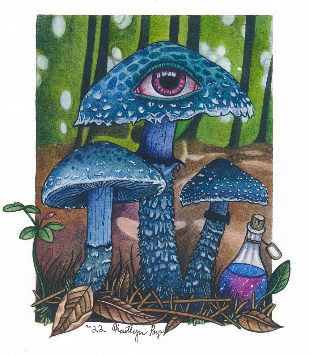 file_026ff1ff01_original (1).jpg