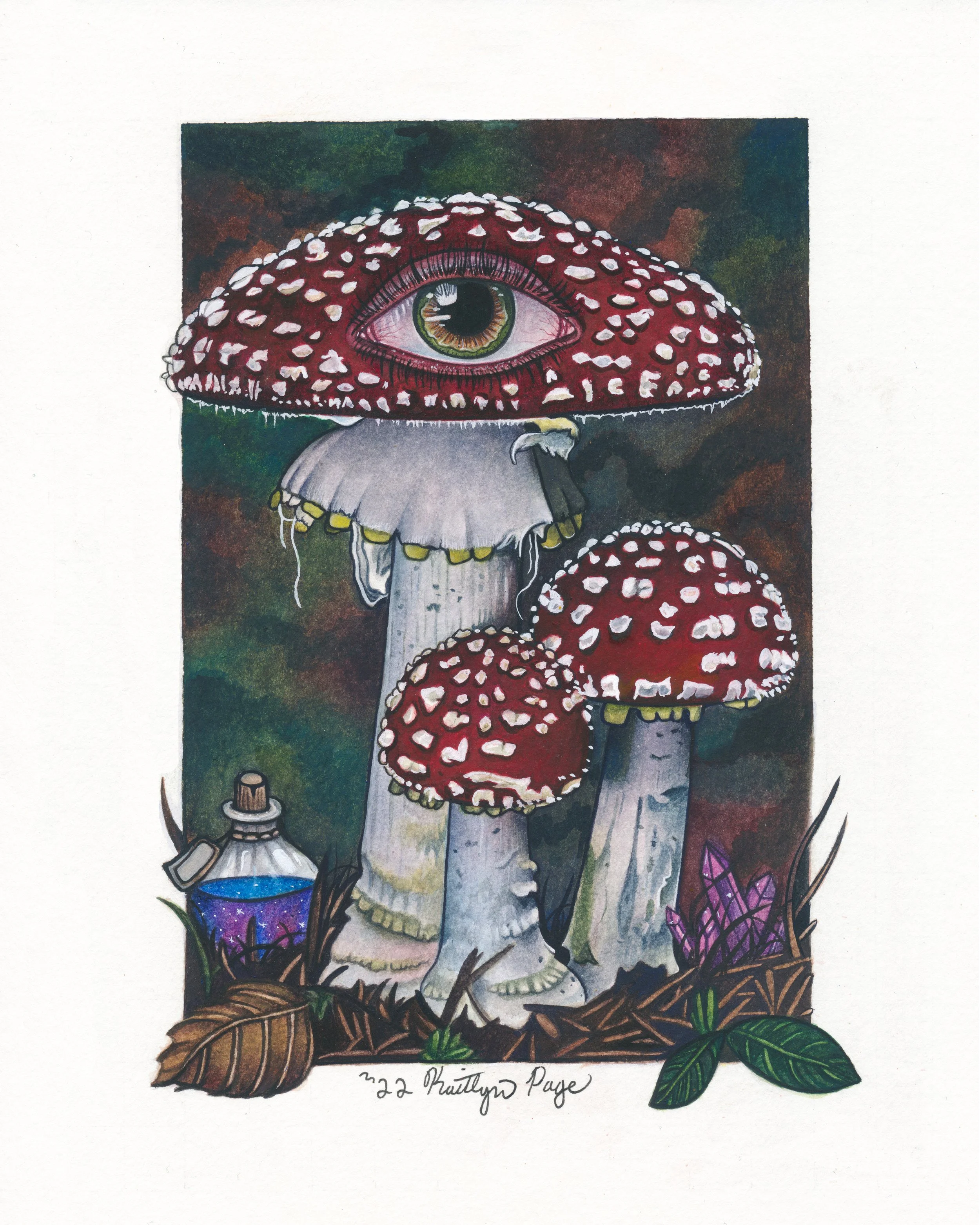 An illustration of three red and white mushrooms with large caps and stalks, with one mushroom featuring a large human eye in the center of its cap. The background is dark with leaves and grass around the mushrooms, and a small purple potion bottle i