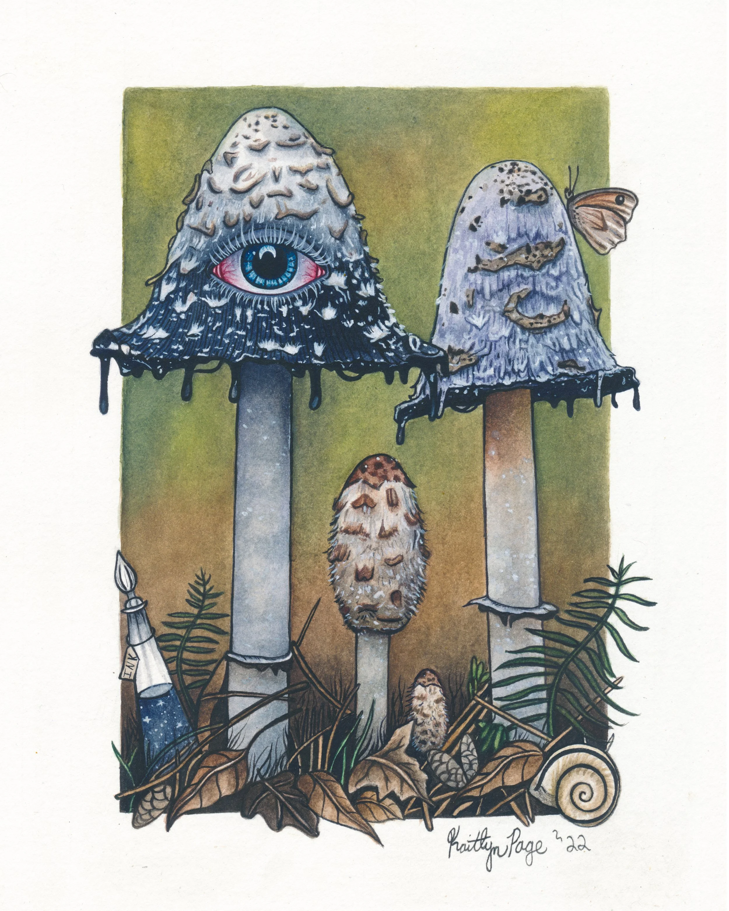 Illustration of four mushrooms with textured caps, one with a large eye and detailed eyelashes, and a butterfly, snail, and pine cones around them.