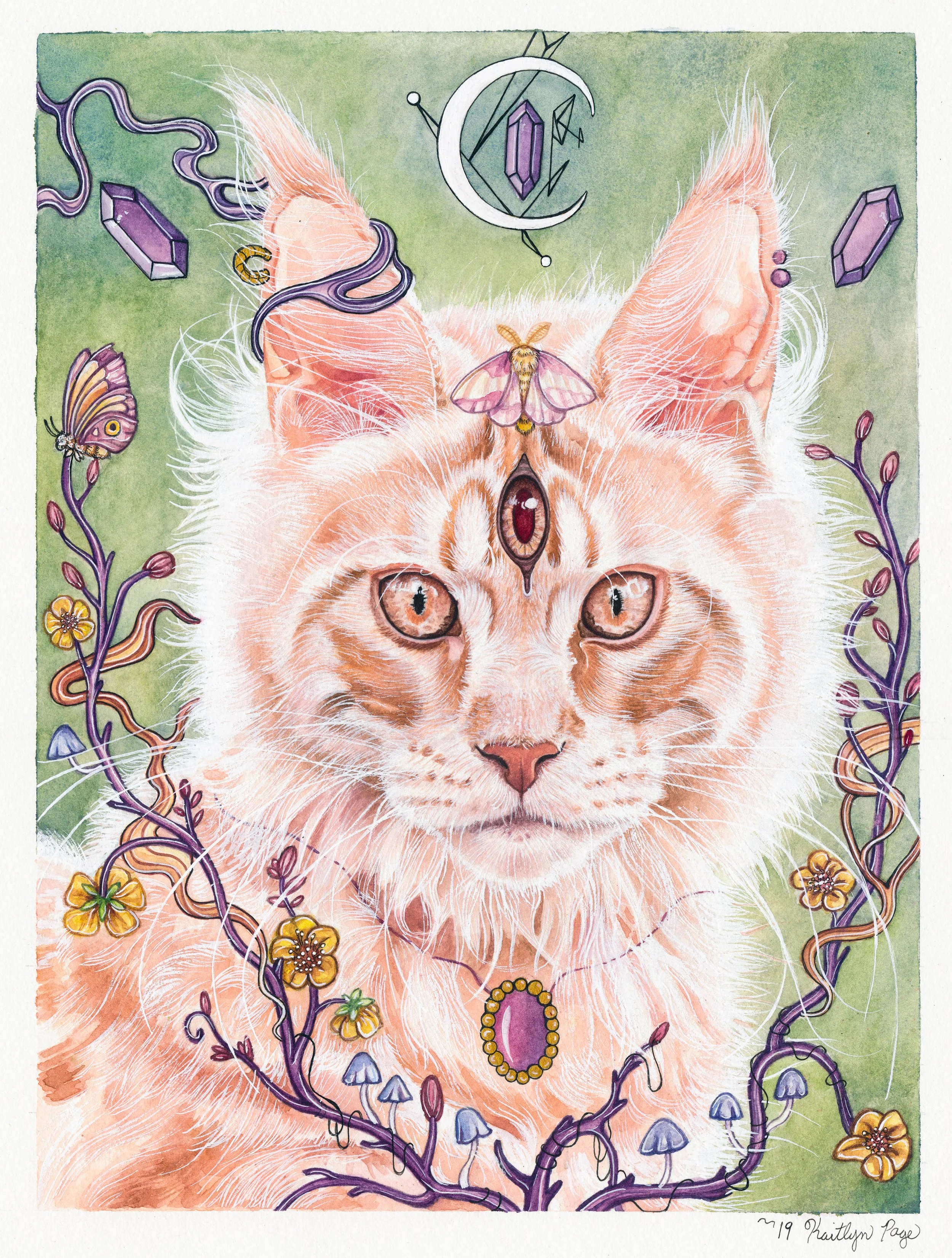 file_a9e08e098e_original (1).jpg