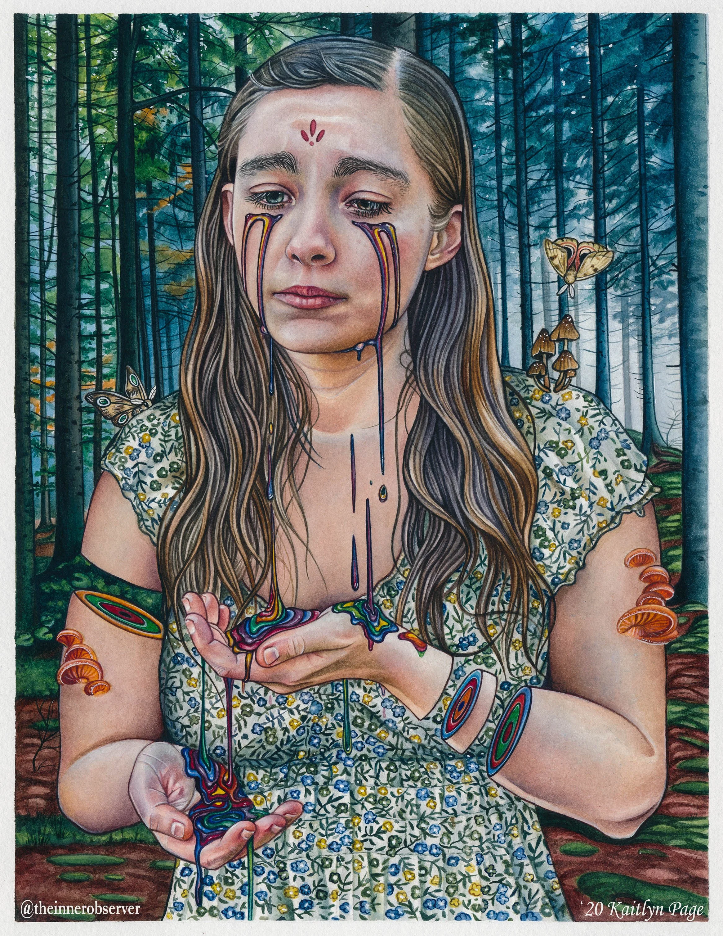 file_2691c97c88_original (1).jpg