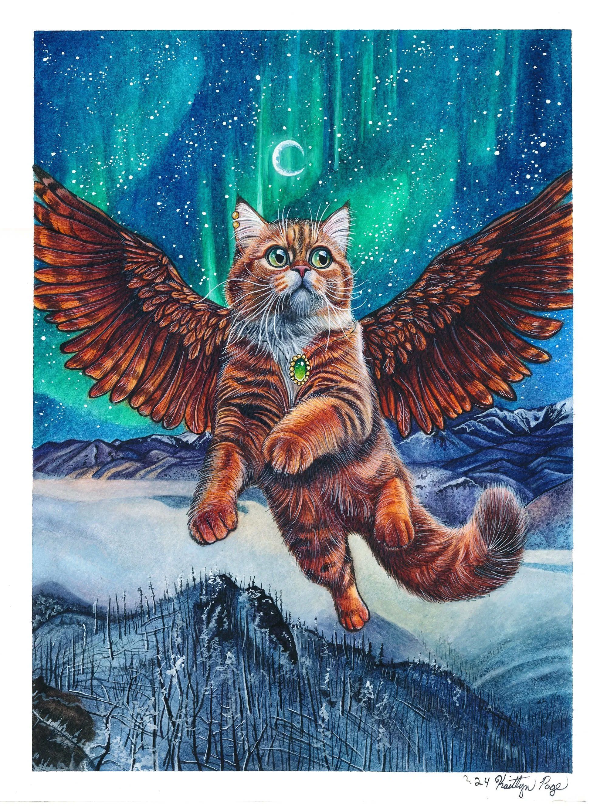 file_60a5b503bf_original (1).jpg