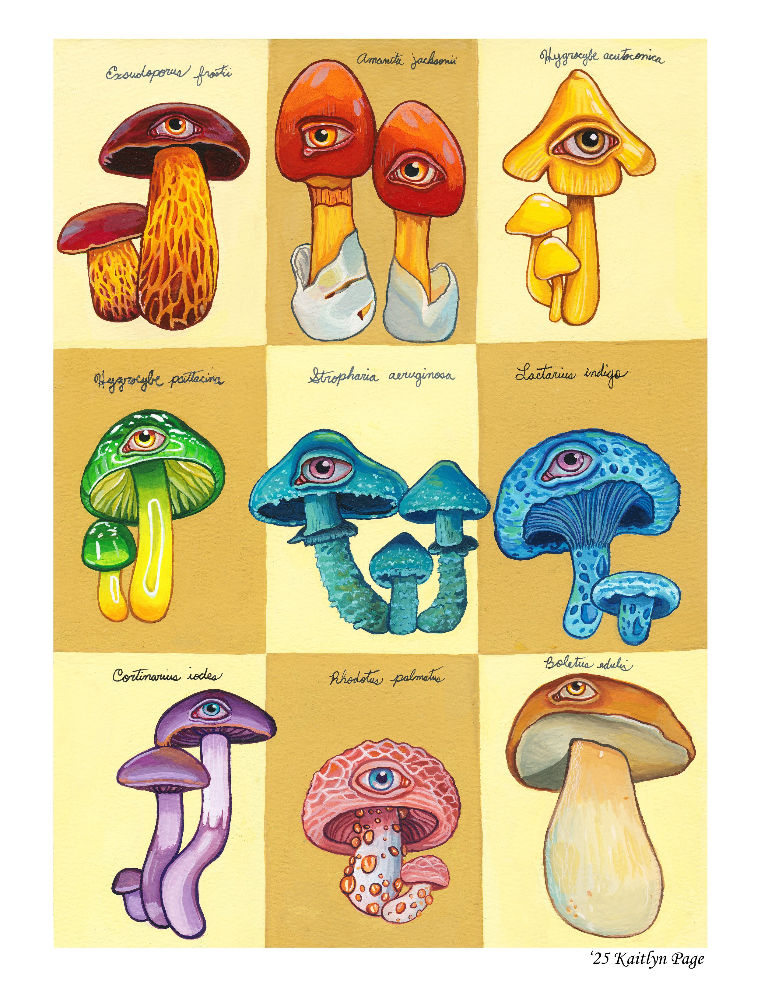 Collection of nine colorful, artistic mushrooms with eye details, each labeled with scientific names.