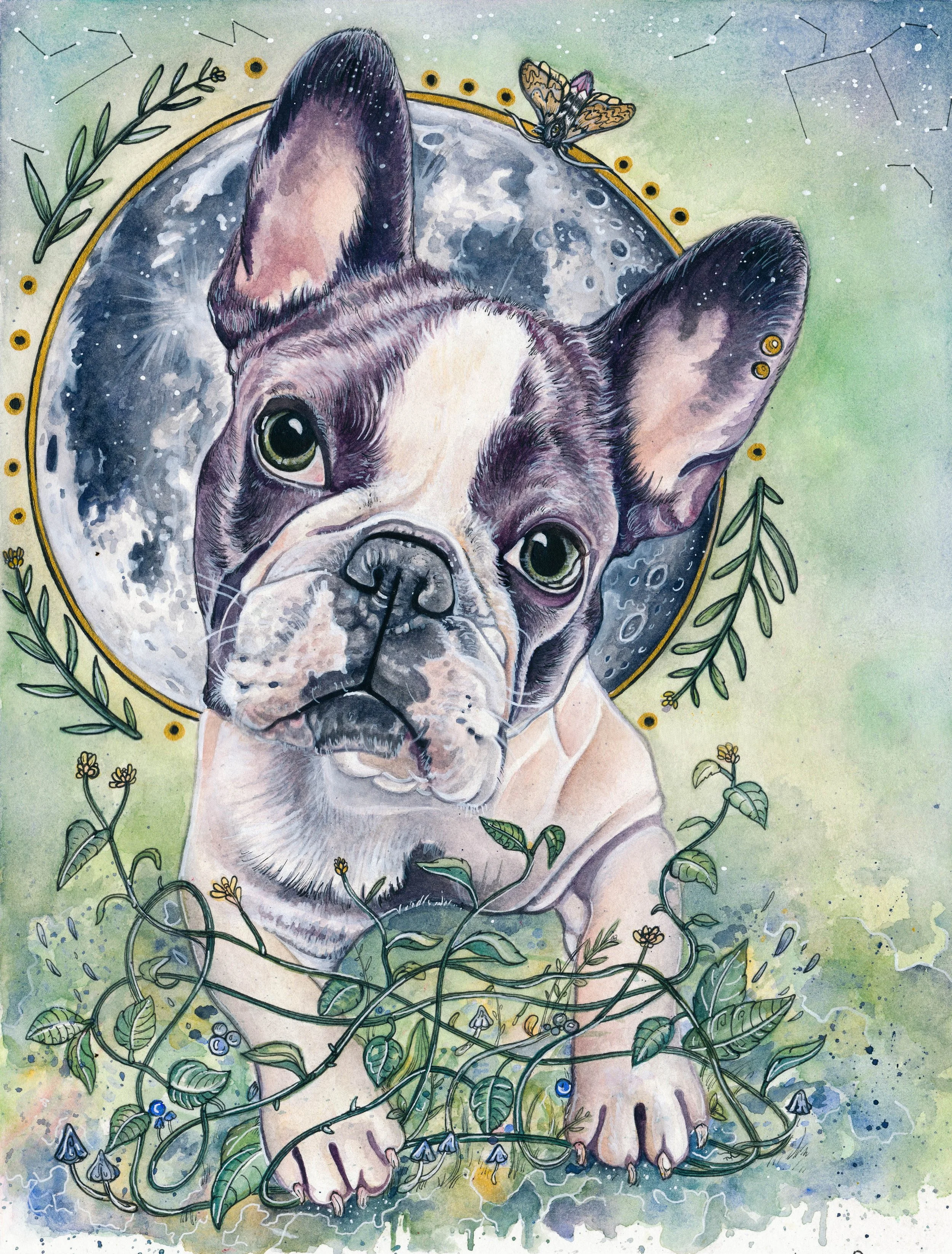 Watercolor painting of a French Bulldog puppy with a moon in the background, surrounded by greenery, flowers, and a moth on its head.