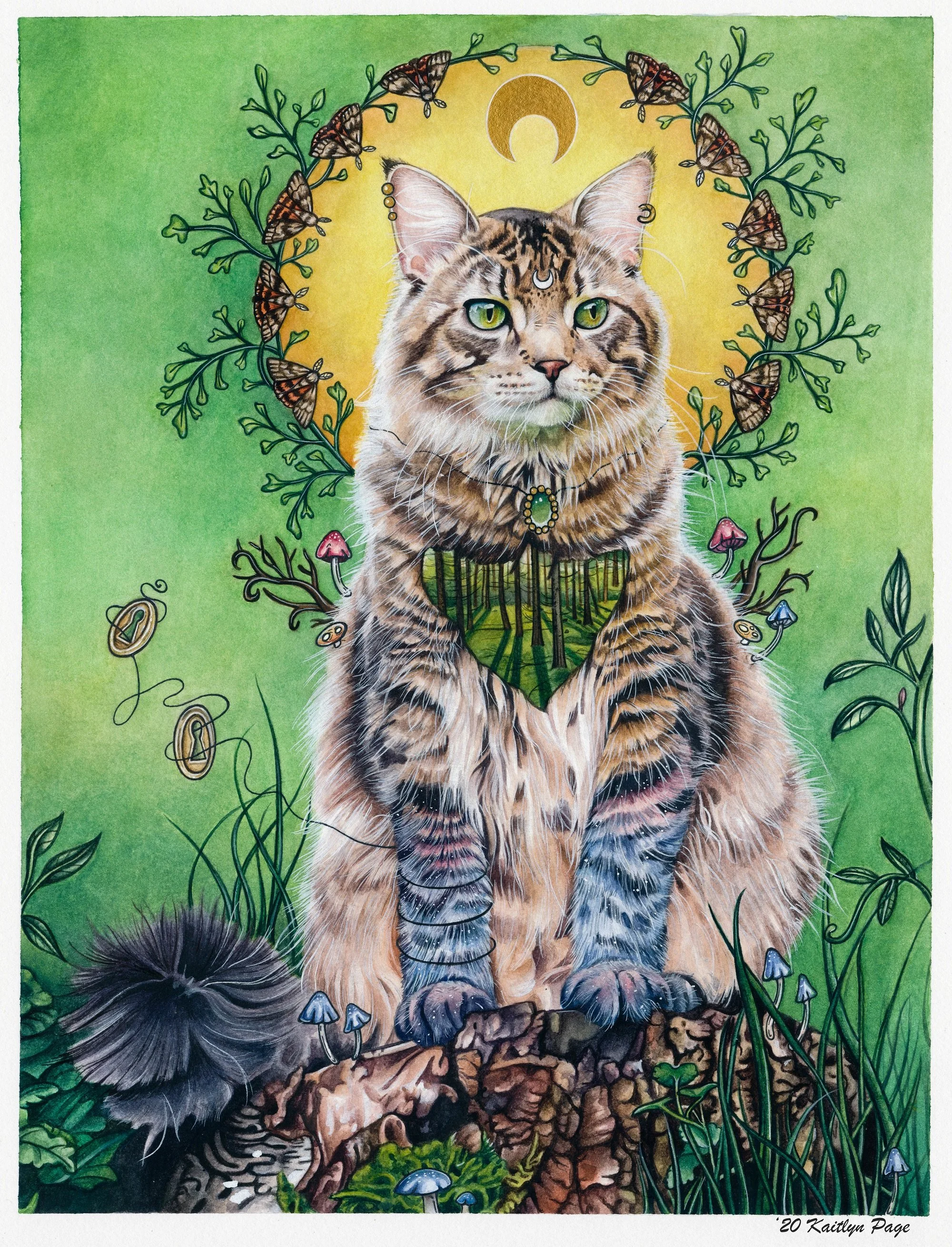 file_29adfe8523_original (1).jpg