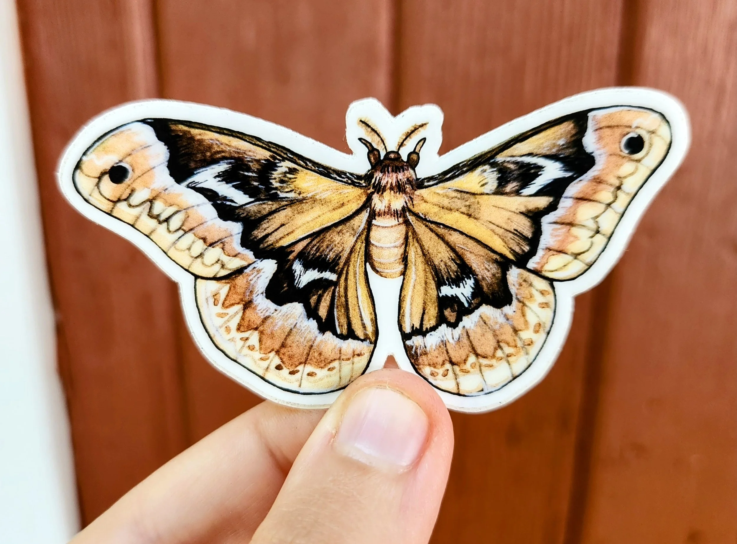 "Cecropia Moth" Vinyl Sticker