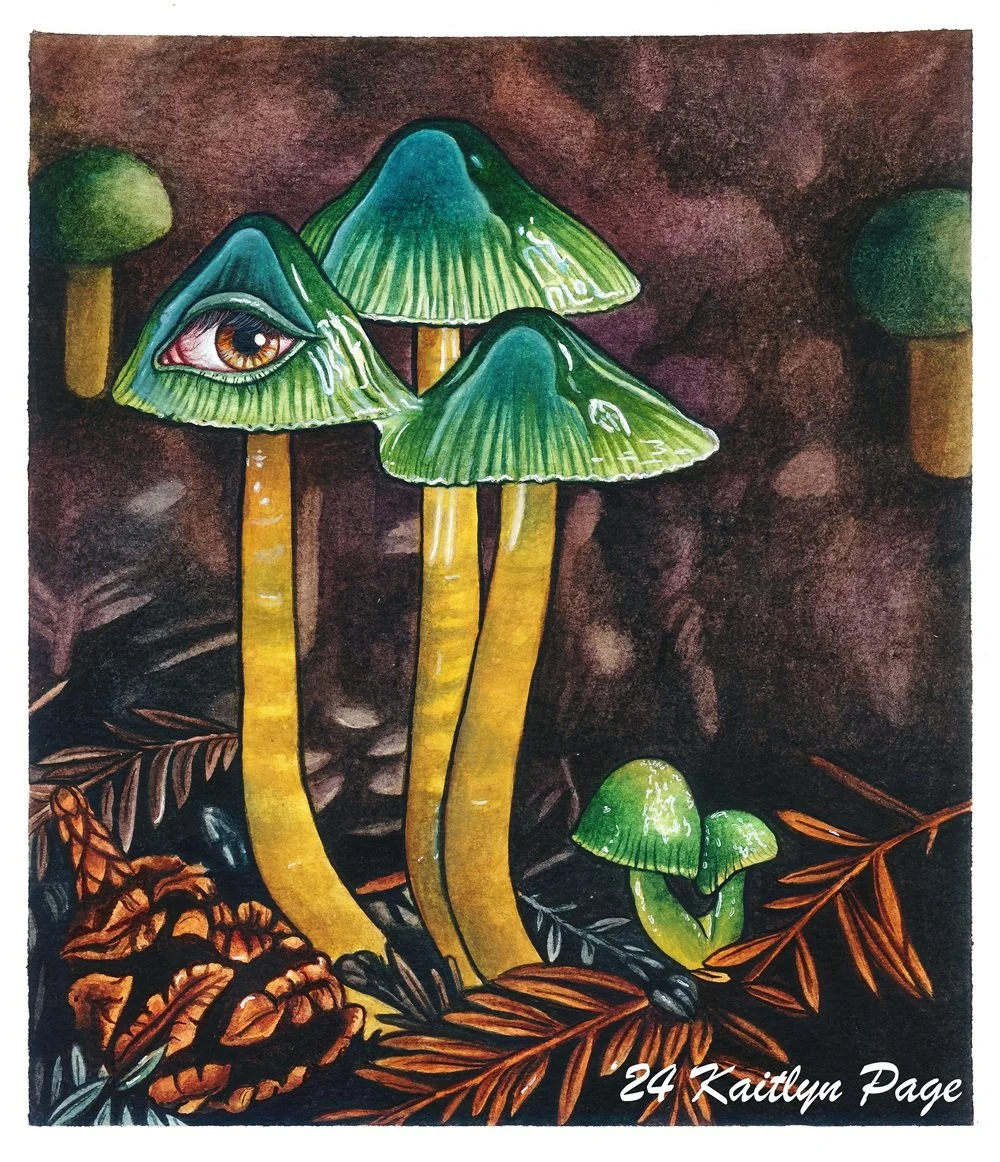 file_d8484d099e_original (1).jpg