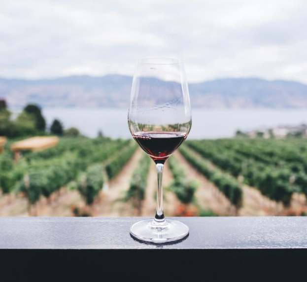Sour Grapes to Vintage Wine: Bella’s Copywriting Example #2