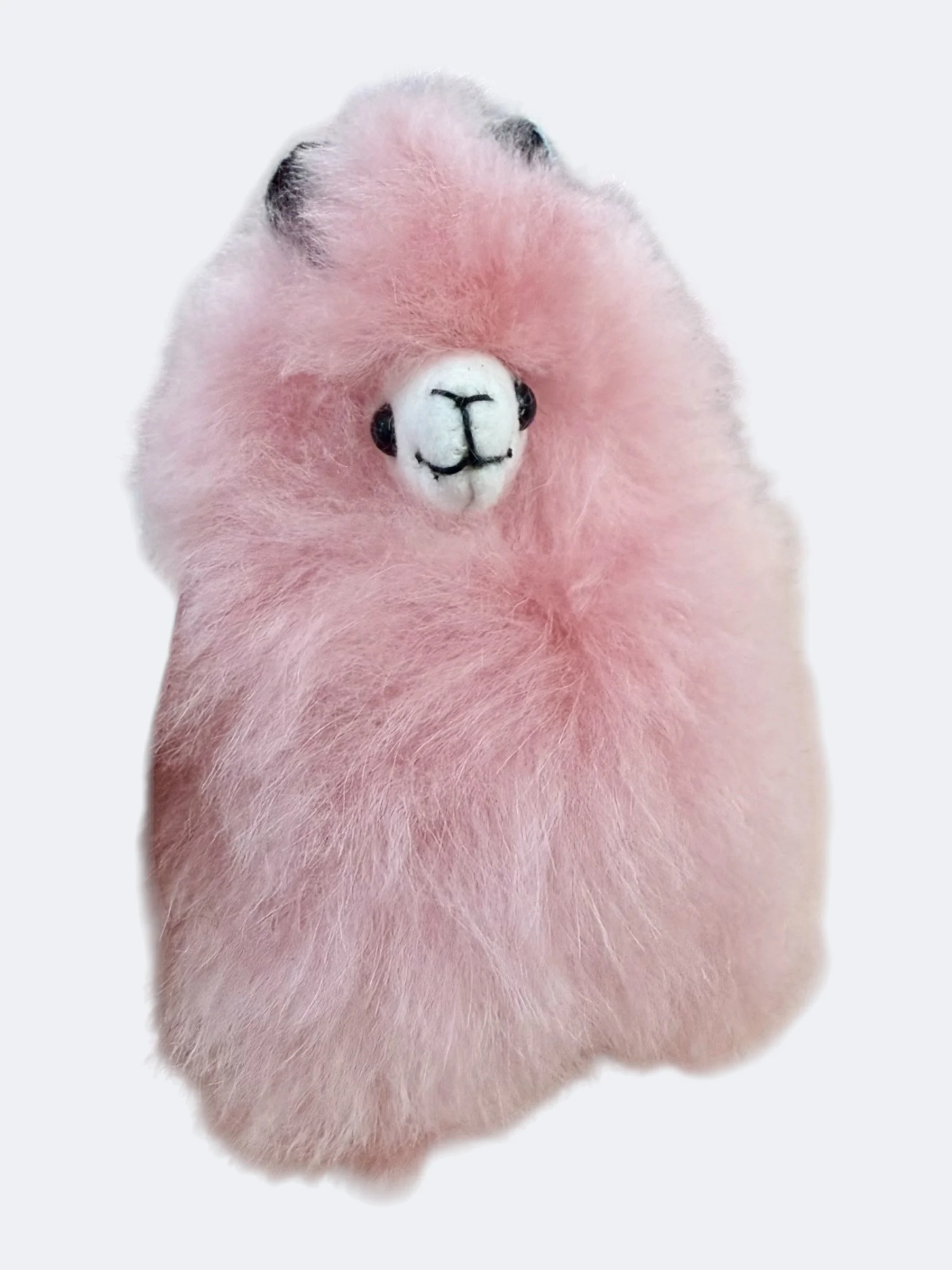 Llama pink alpaca fur relaxing .jpeg