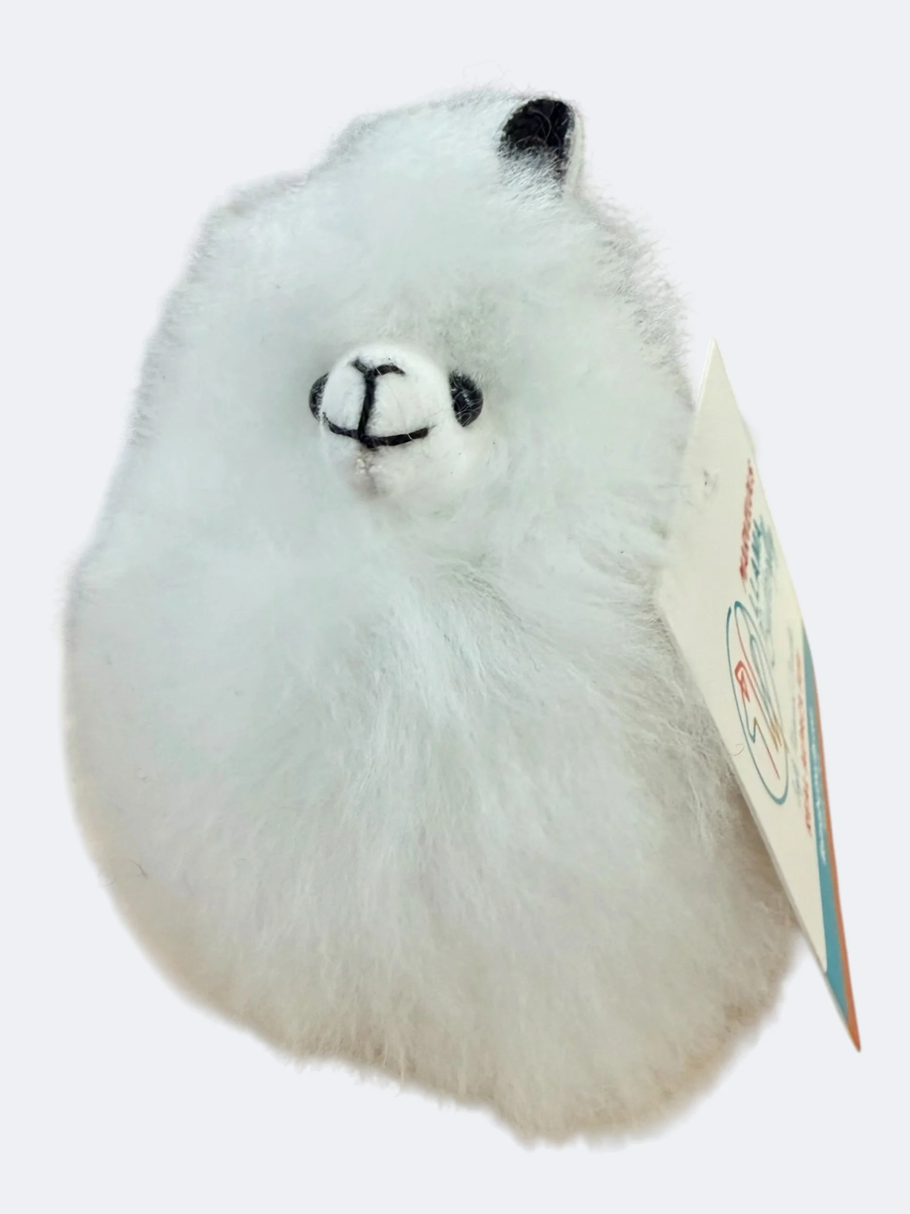 White llama alpaca fur fluffly.jpeg
