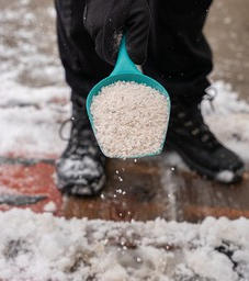 Rock salt and ice melt being applied to a snowy driveway surface