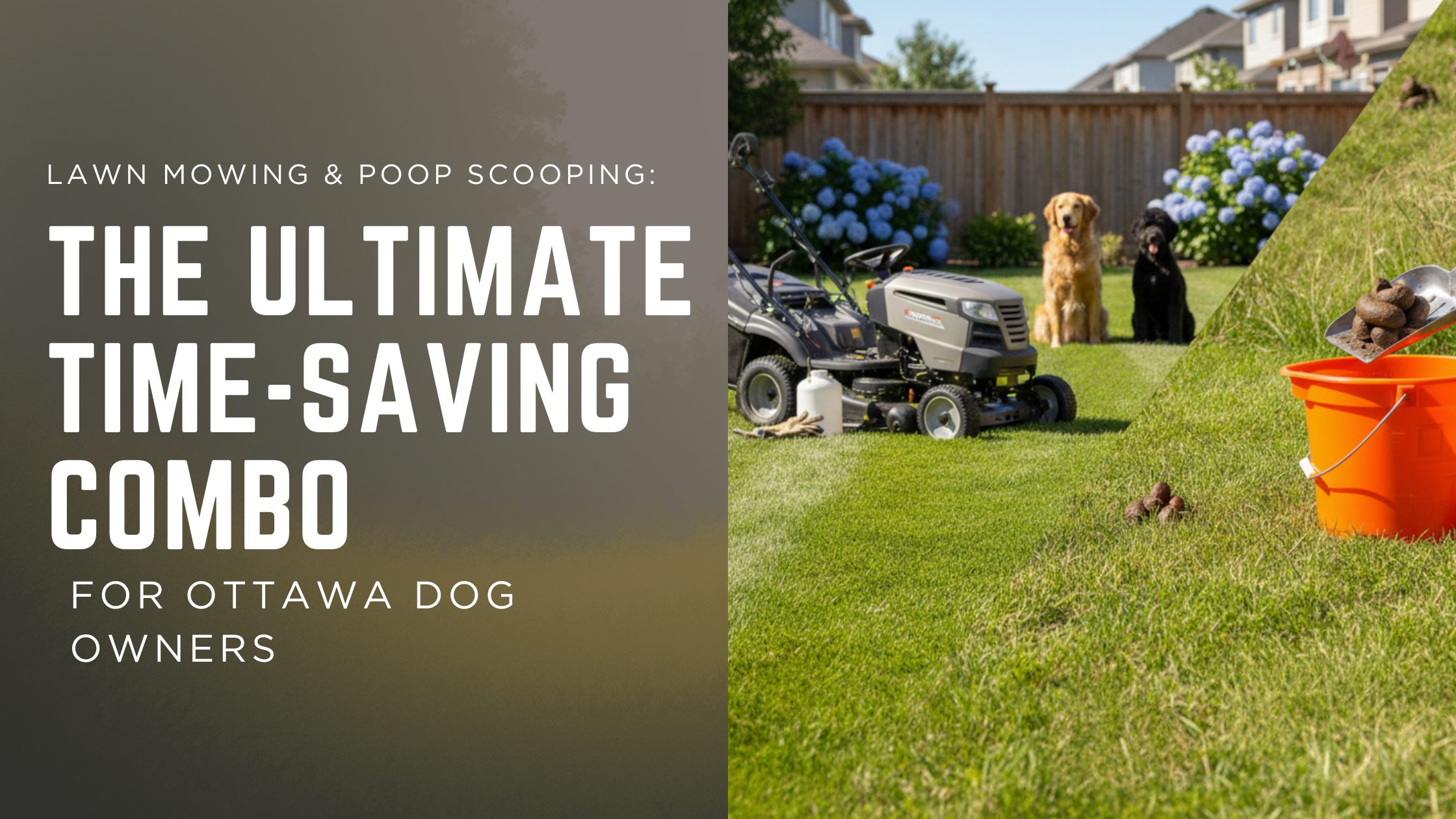 Lawn Mowing &amp; Poop Scooping: The Ultimate Time-Saving Combo for Ottawa Dog Owners