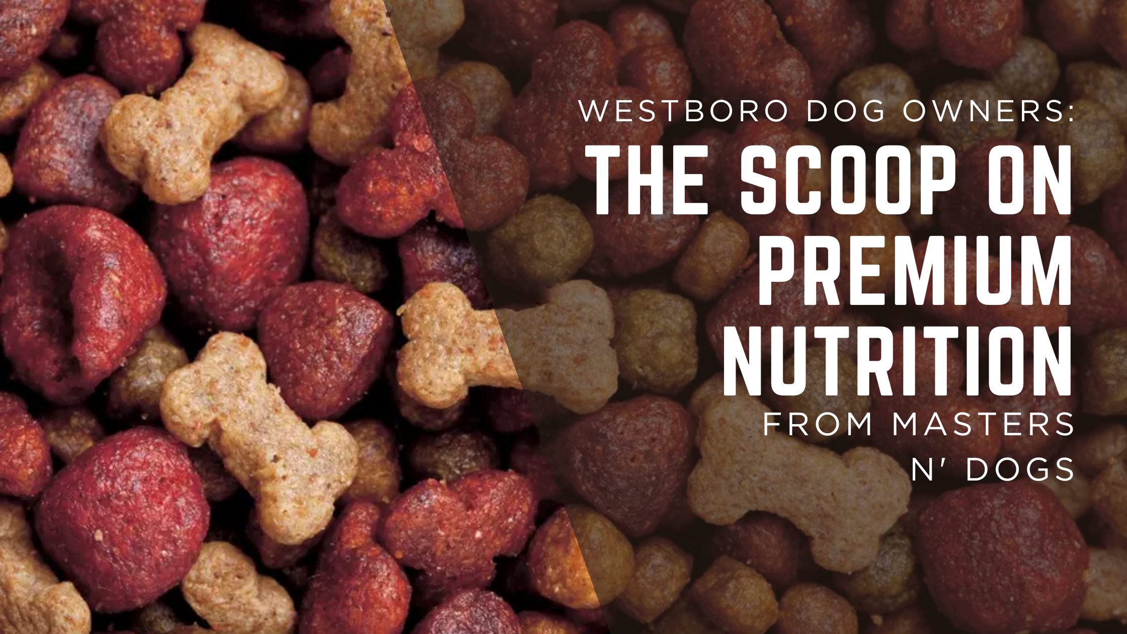 Westboro Dog Owners: The Scoop on Premium Nutrition from Masters n' Dogs