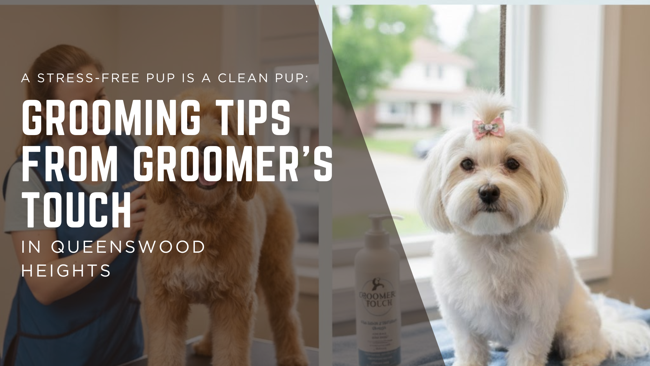 A Stress-Free Pup is a Clean Pup: Grooming Tips from Groomer's Touch in Queenswood Heights