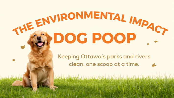 The Environmental Impact of Dog Poop in Ottawa: Why It Matters More Than You Think