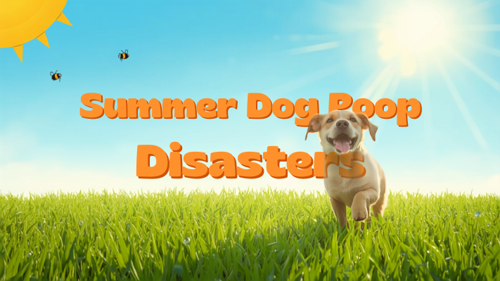 Summer Dog Poop Disasters: 5 Ways the Heat Wrecks Your Yard (and How We Fix It)