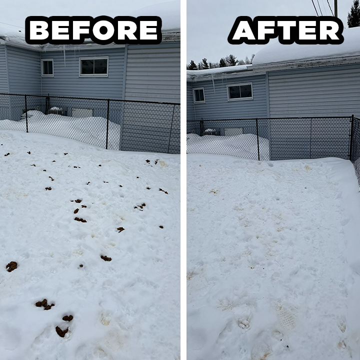 Why Winter Dog Poop Cleanup in Ottawa Is Best Left to the Pros