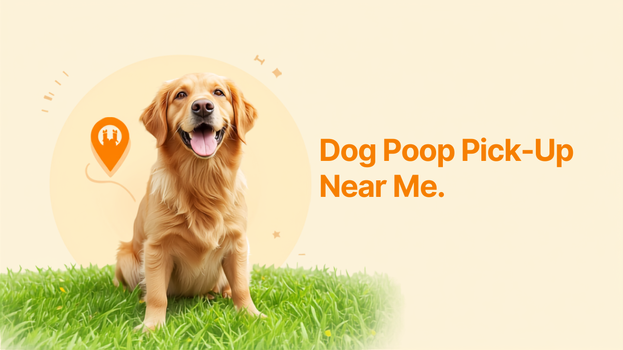 Dog Poop Pick Up Services Near Me: How to Find the Best Company in Ottawa (2026)