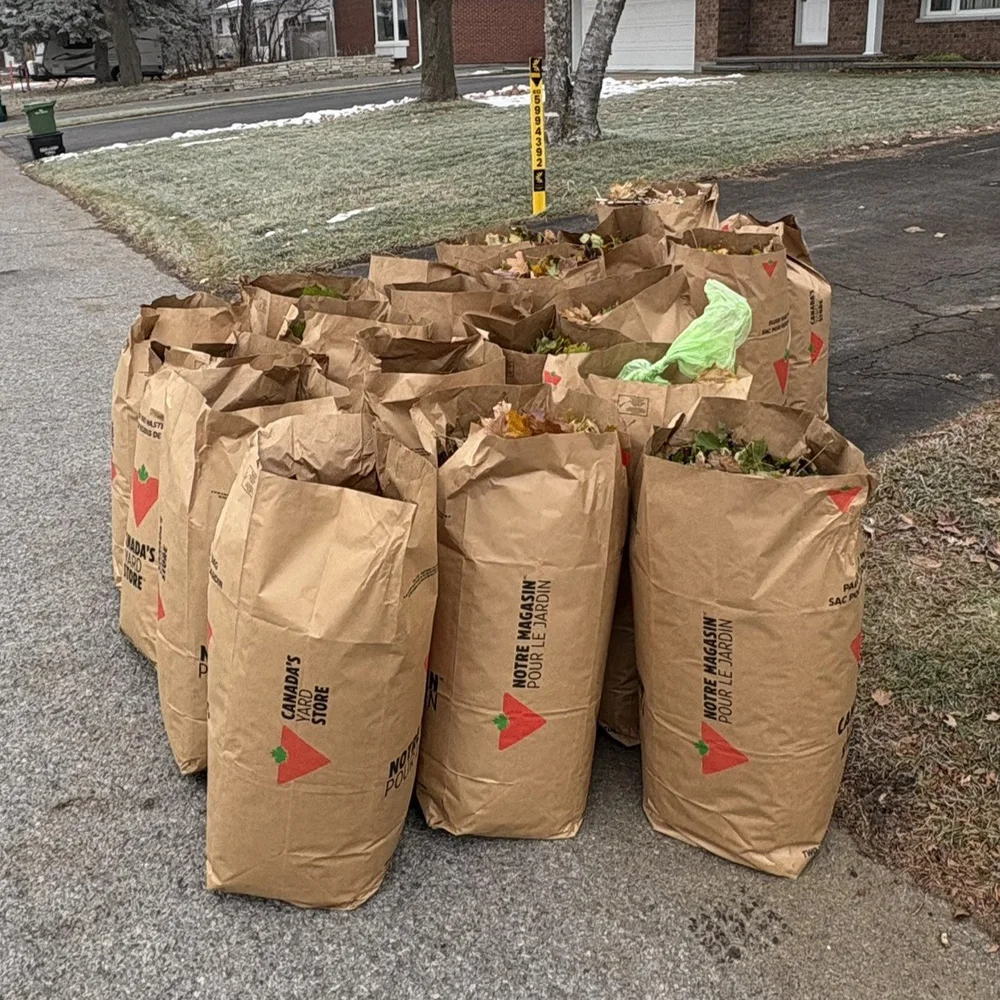 Paper yard waste bags filled with leaves and garden debris on a residential Ottawa sidewalk