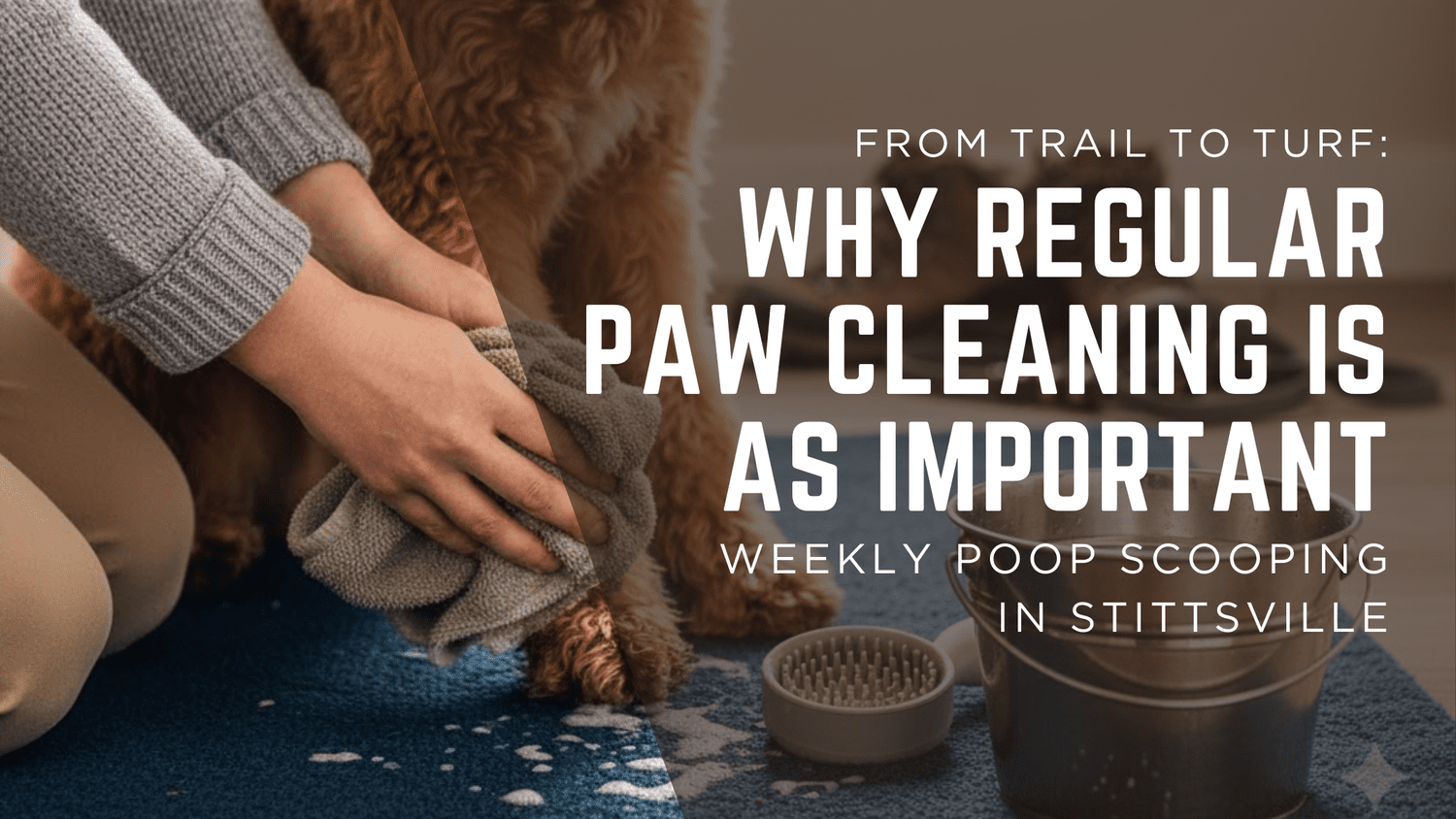 From Trail to Turf: Why Regular Paw Cleaning is as Important as Weekly ...