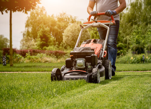Person mowing a green lawn in a back yard garden bordered by trees and bushes