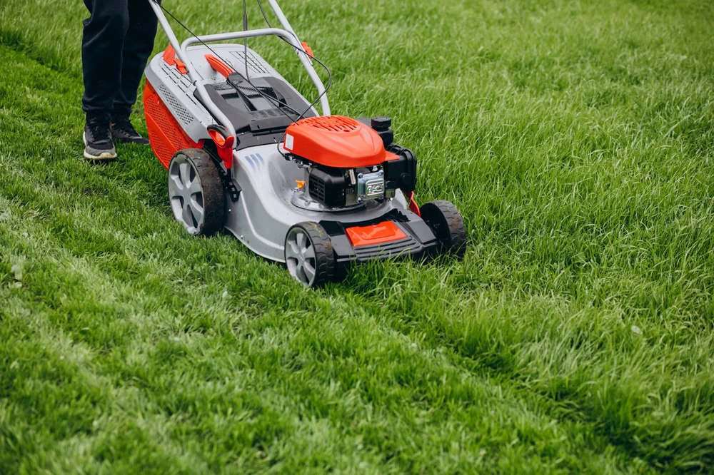 Scoop Dog crew member mowing a back yard lawn in Ottawa with a gas lawn mower